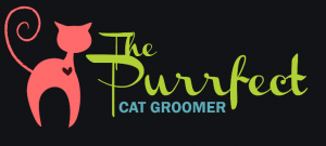 The Purrfect Cat Groomer